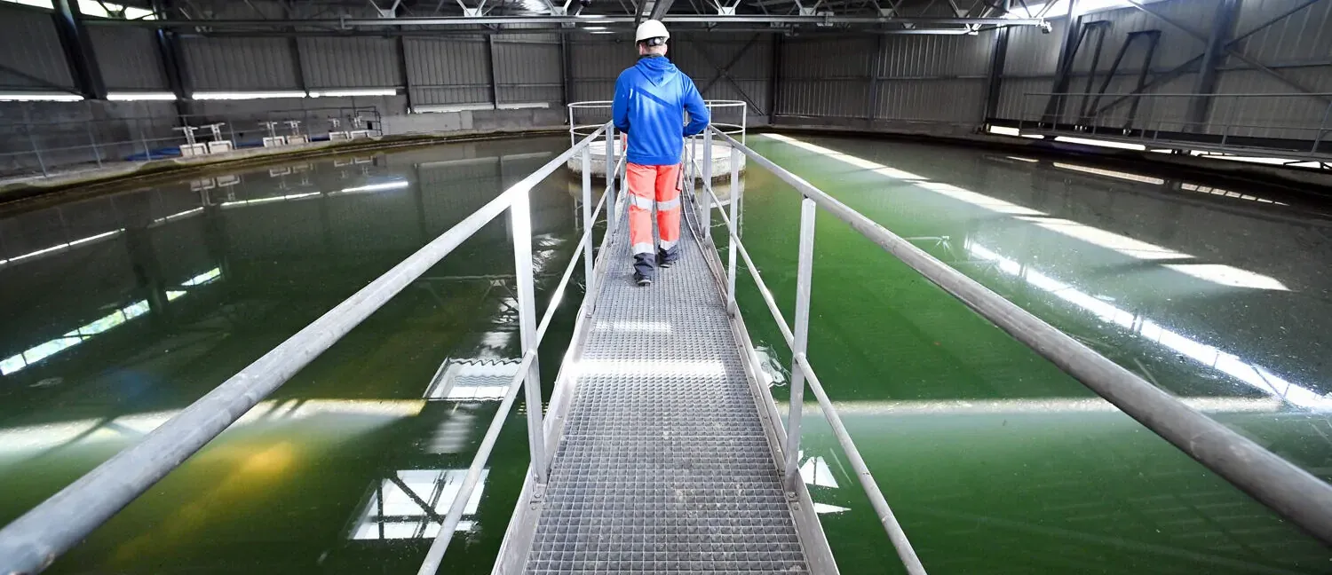 Réseau de drainage en zone aménagée